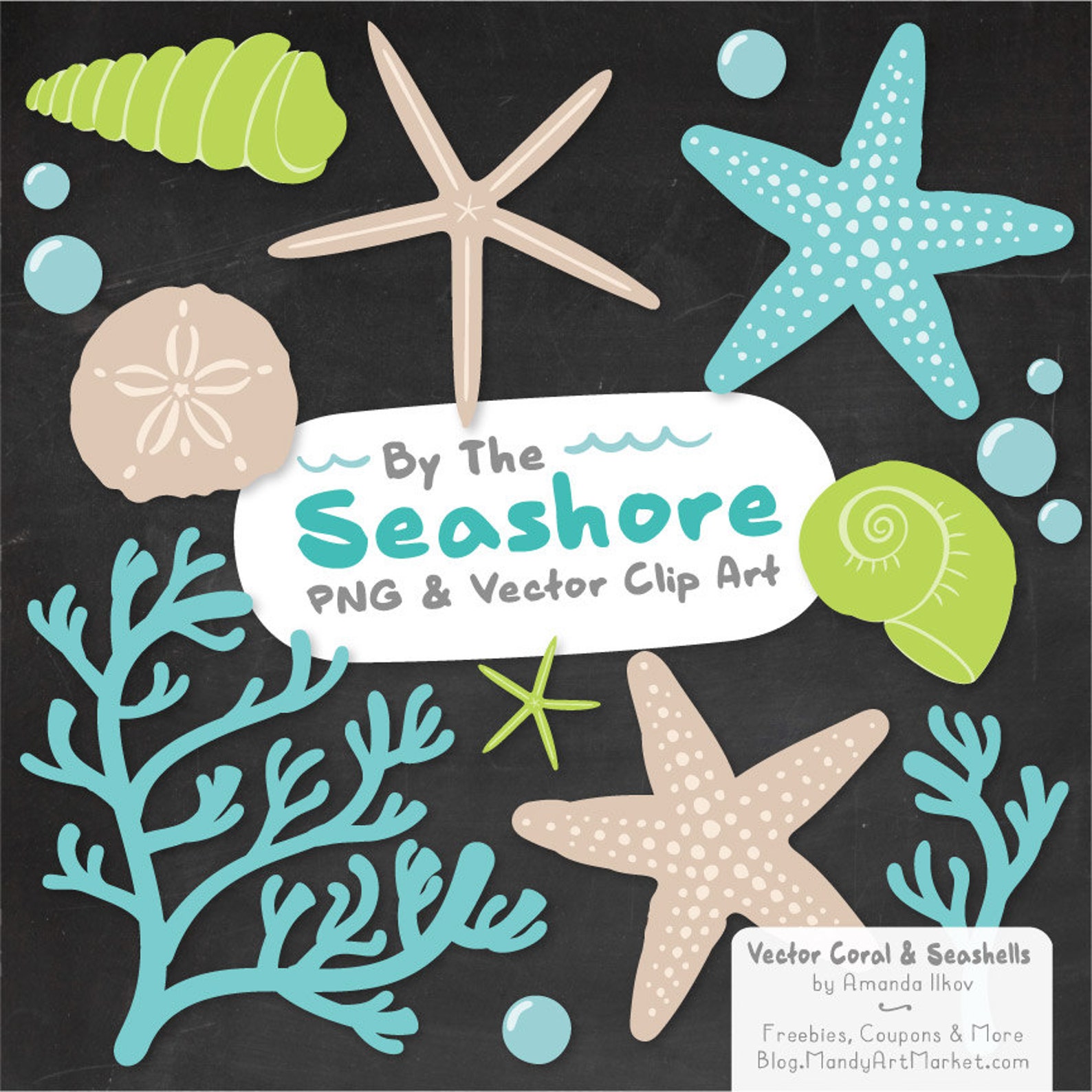 Premium Seashells Clipart & Vector Set - Bright Blue Seashells ...