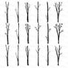 Premium Birch Tree Clipart & Vector Set - Birch Tree Clip Art, Birch ...