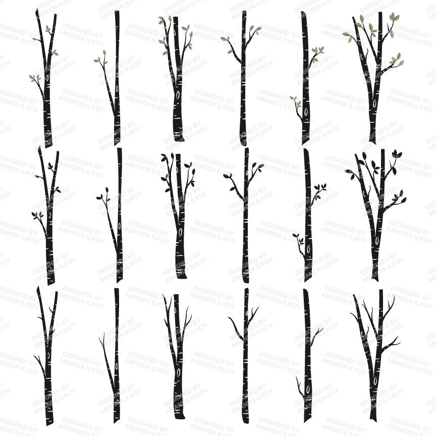Premium Birch Tree Clipart & Vector Set - Birch Tree Clip Art, Birch ...