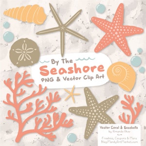 Premium Vector Seashells Clipart in Antique Peach - Peach Seashells, Starfish Clipart, Seashells Clip Art, Seashell Vectors, Coral Clipart