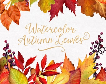 Watercolor Autumn Leaves & Branches Clipart - Watercolor Clipart, Fall Clipart, Fall Leaves, Autumn Clipart, Thanksgiving Clipart