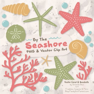Premium Seashells Clipart & Vector Set - Vintage Seashells Clip Art, Seashells Vectors, Coral Clipart, Coral Vector