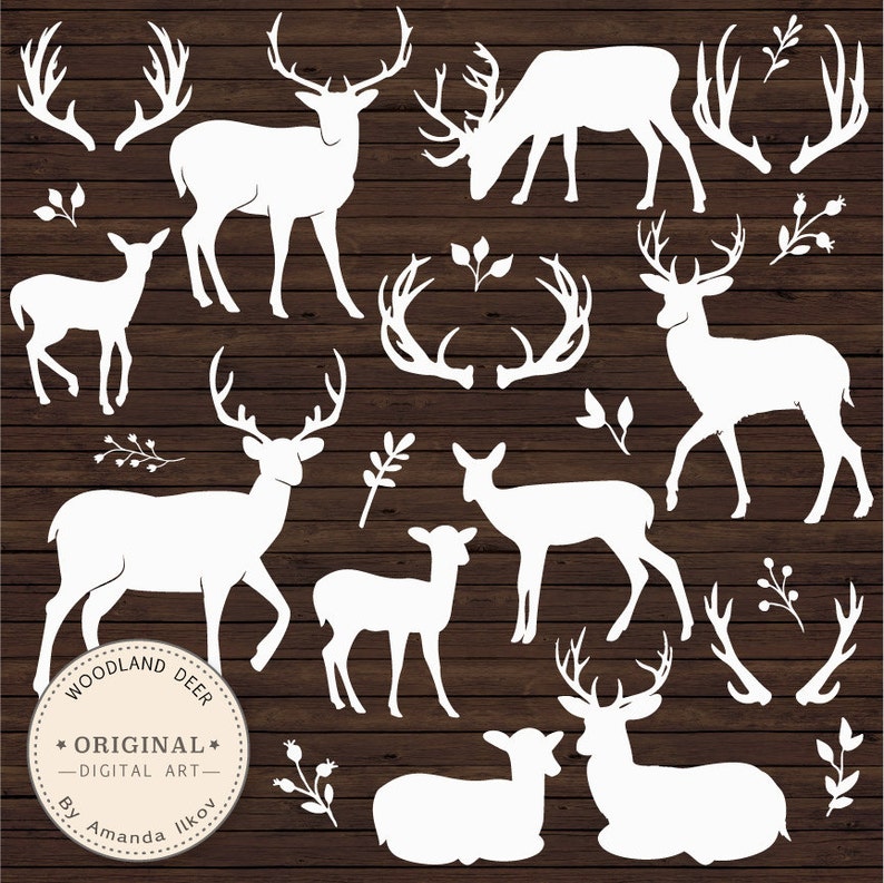 K&ouml;nnte beinhalten: Ein Set aus wei&szlig;en Silhouetten von Hirschen und Geweihen auf braunem Holzgrund. Die Hirsche sind in verschiedenen Posen, darunter stehend, laufend und liegend. Die Geweihe sind in verschiedenen Gr&ouml;&szlig;en und Formen. Der Text "Woodland Deer - Original - Digital Art - By Amanda Ilkov" befindet sich am unteren Rand des Bildes.