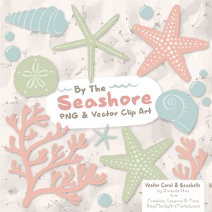 Premium Seashells Clipart & Vector Set - Pastel Seashells Clip Art, Seashells Vectors, Coral Clipart, Coral Vector