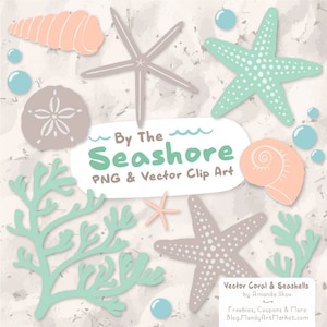 Premium Vector Seashells Clipart in Mint & Peach - Peach Seashells, Starfish Clipart, Seashells Clip Art, Seashell Vectors, Coral Clipart