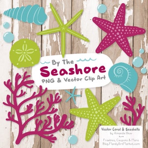 Premium Vector Seashells Clipart in Bohemian - Bohemian Seashells, Starfish Clipart, Seashells Clip Art, Seashell Vectors, Coral Clipart