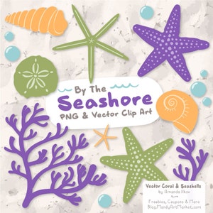 Premium Vector Seashells Clipart in Crocus - Purple Seashells, Starfish Clipart, Seashells Clip Art, Seashell Vectors, Coral Clipart