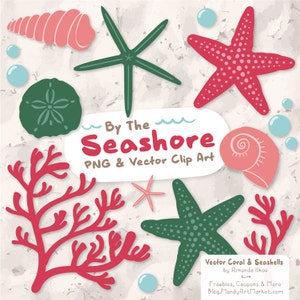 Premium Vector Seashells Clipart in Rose Garden - Red Seashells, Starfish Clipart, Seashells Clip Art, Seashell Vectors, Coral Clipart