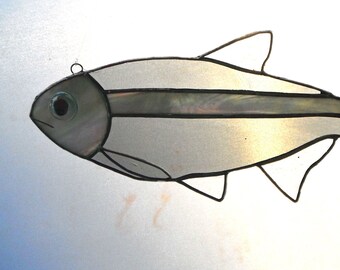 Fish Suncatcher - Mexican Tetra