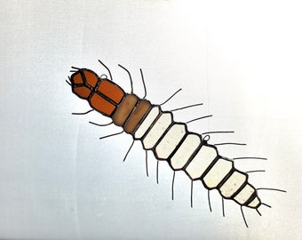 Helgramite Megaloptera larvae suncatcher