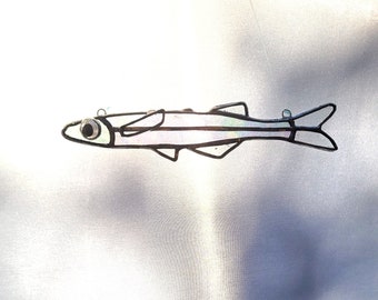 Mississippi Silverside - white fish suncatcher