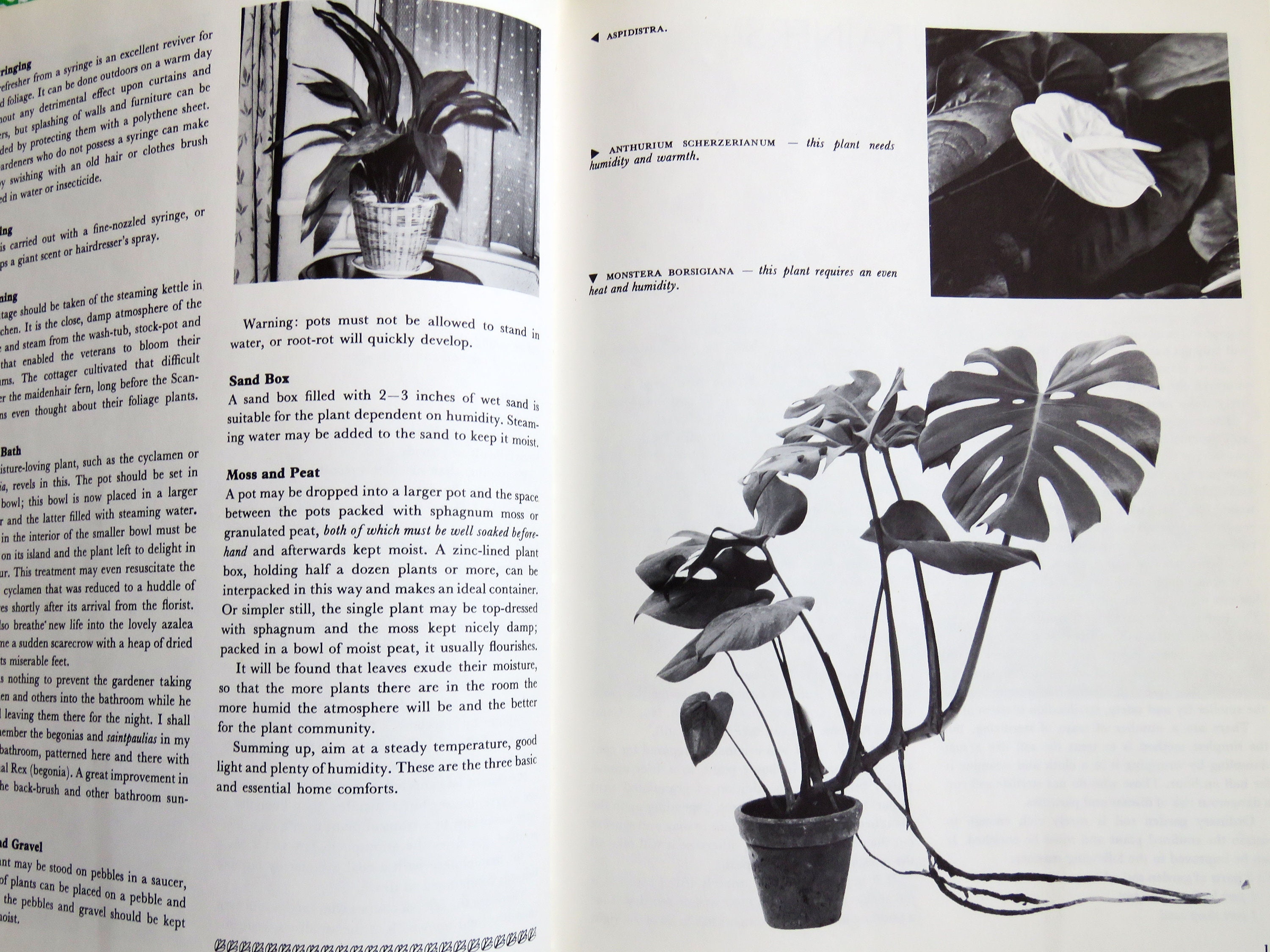 Vintage 1960's Indoor Plants hardback book by Xenia Field Etsy