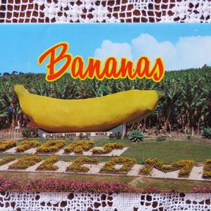 Vintage 1970s Bananas 11 picture Coffs Harbour Australia -  fold out souvenir unused postcard from Murray Views Big Banana