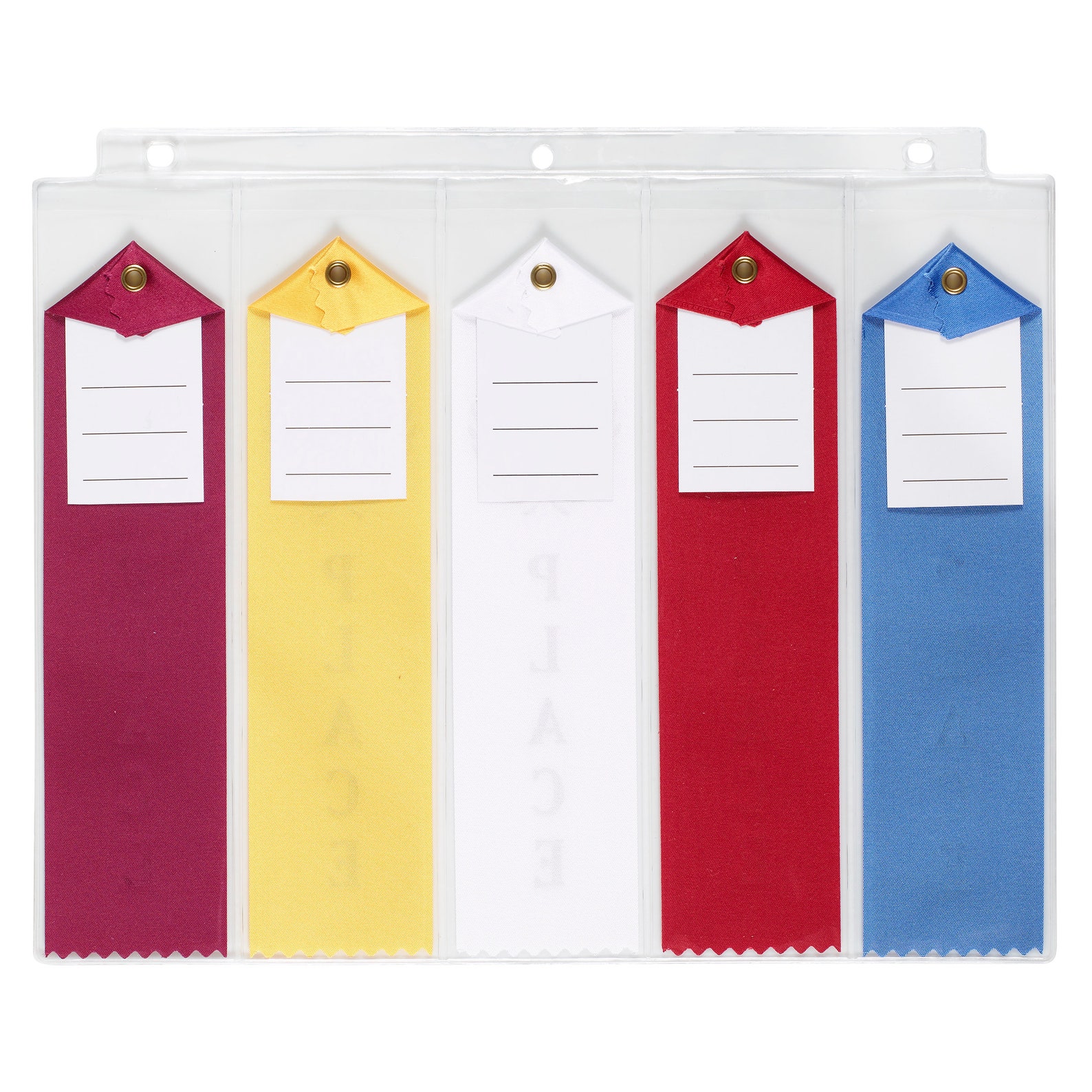 Award Ribbon Display Storage Holder Organizer Binder Generic Any Sport