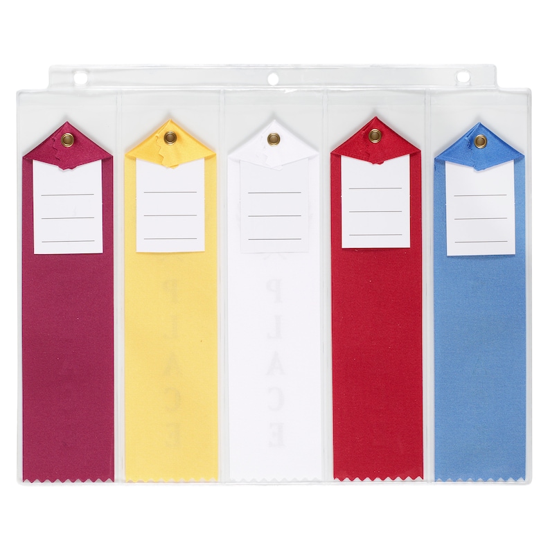 Gymnastics Gift Award Ribbon Display Storage Holder Organizer Binder ...