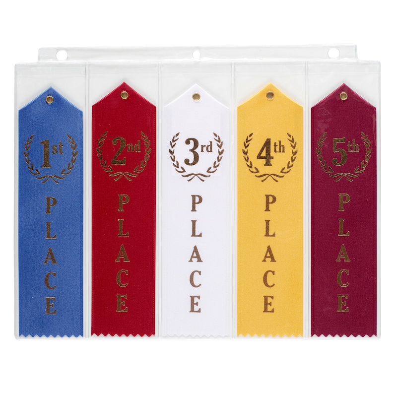 Swimming Gift Ribbon Organizer Binder Storage Album Ribbons Holder Swim ...