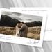 Elopement Announcement Rustic Wedding Invitation Template Card Wedding Photo Download