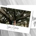 Wedding Thank You Cards Photo Printable Card Template Postcards