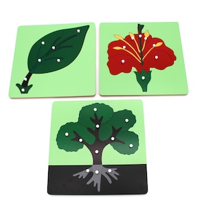 Montessori Botany Wooden Puzzles Leaf/Flower/Tree Plant Puzzles
