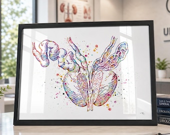 Lámina de acuarela con anatomía de la próstata, decoración para clínica de urología-1212