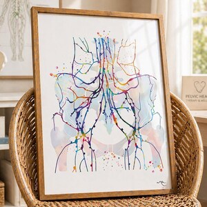 Drenaggio linfatico del bacino, linfonodi pelvici e inguinali femminili Stampa-3043