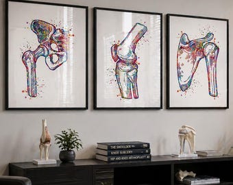 Anatomical Watercolor Print Set: Hip, Knee, Shoulder Bone Art-2006