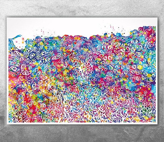 Stratified Squamous Epithelium Watercolor Print Skin Histology Dermatologist Skin Medical Art Dermatologist Gift Clinic Decor Cell Art-2726