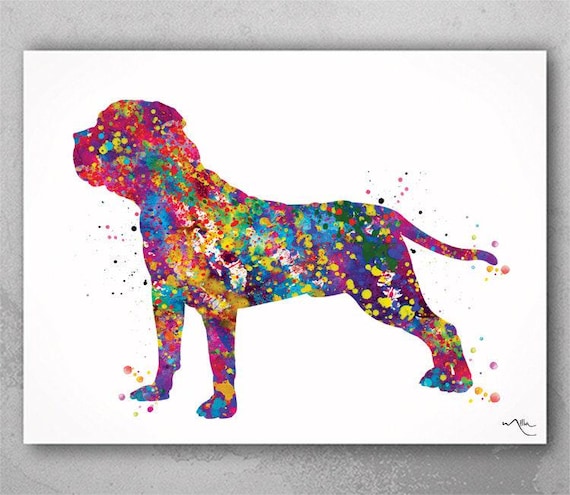Boerboel Dog Watercolor Print, South African Mastiff Art-1677