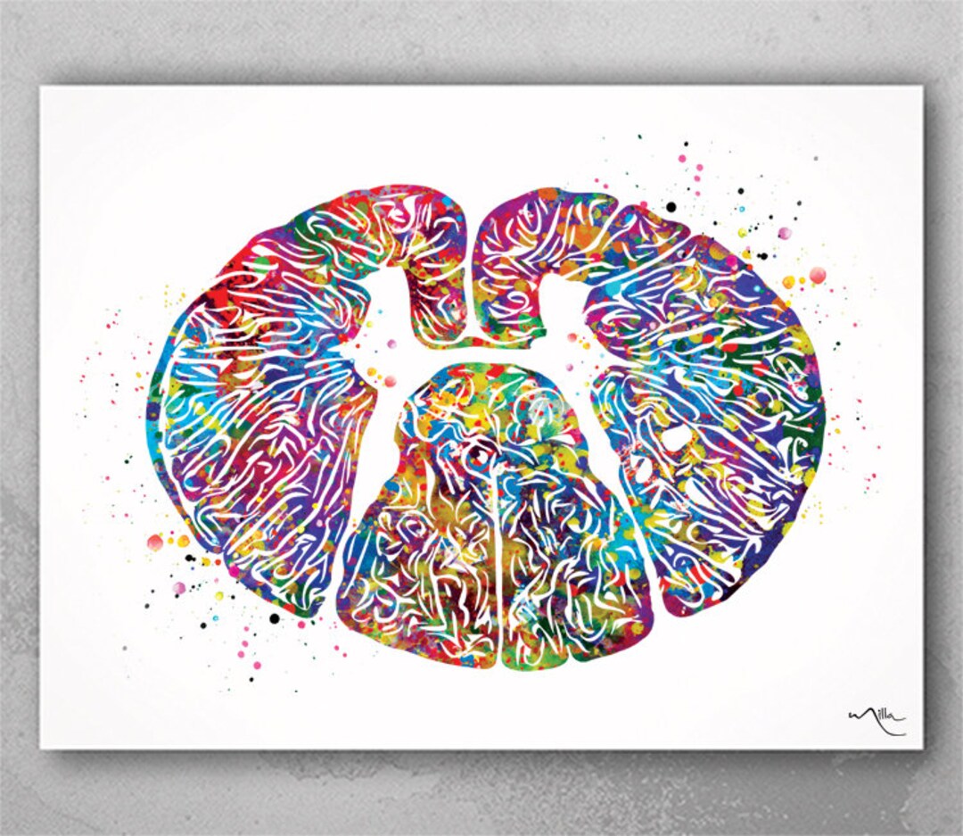 Thoracic Dorsal Spinal Cord Watercolor Print Medical Art Neurology ...