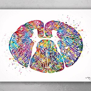 Thoracic Dorsal Spinal Cord Watercolor Print Medical Art Neurology ...
