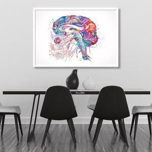 Brain Cranial Nerves Watercolor Print Medical Art Cabinet Neurologist ...