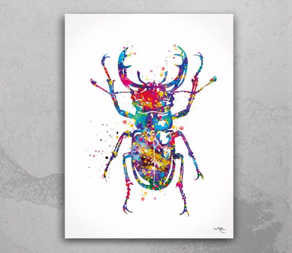 Stag Beetle Watercolor Print, Colorful Insect Wall Art-835