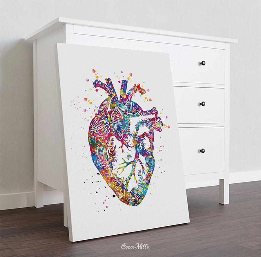 Heart Anatomy Watercolor Print Cardiology Decor Medical Art | Etsy