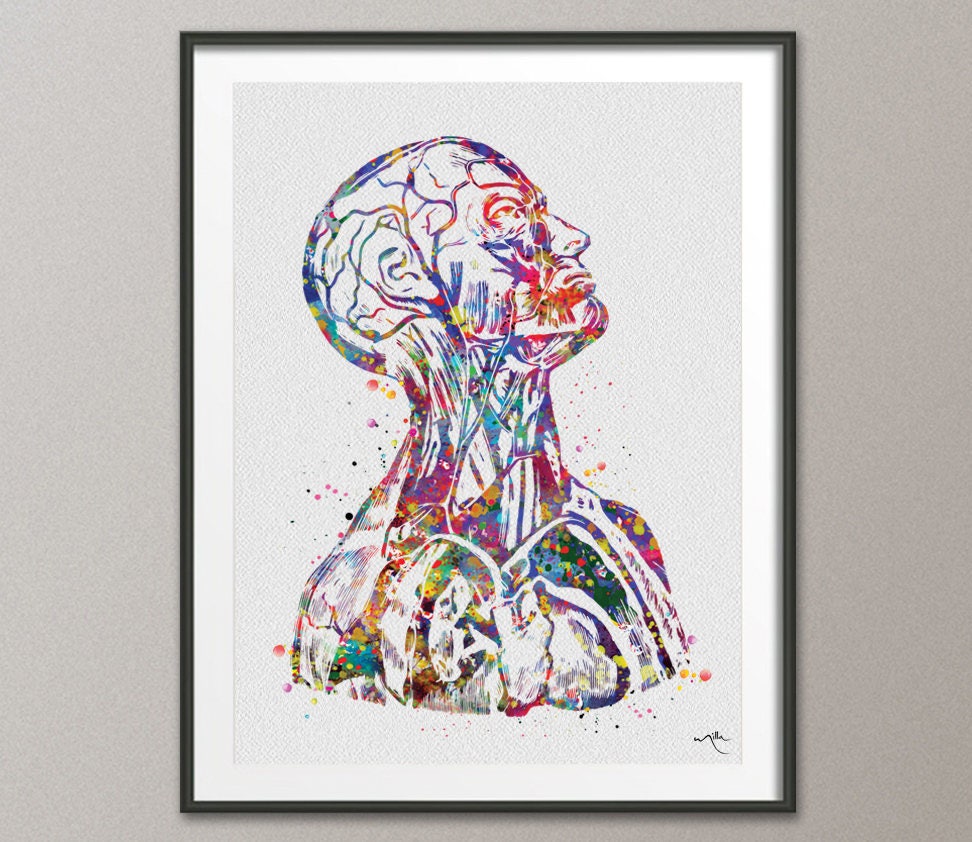 Human Anatomy Watercolor Print Cardiology Decor Medical Art Etsy