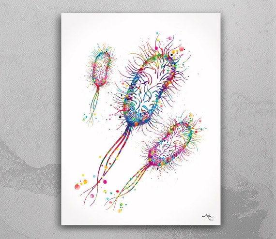 Escherichia Coli Watercolor Print Medical Art E Coli Microbiologist Wall Art Bioscience Microbiology Virus Biology Bacteria Microscopy 81 Etsy