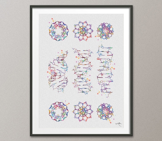 DNA Helix Watercolor Print Biology Science Art Genetic Art Medical Art Poster