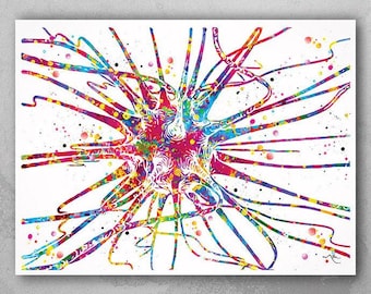 Neuron Watercolor Print: Brain Cell Art, Neurology Gift-926