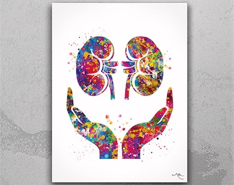 Kidney Watercolor Print, Nephrology Clinic Decor, Urologist Gift-2456