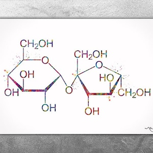 Sugar Molecule Structure Watercolor Print Sucrose Chemical Molecule Wall Art Science Diabetes Chemistry Organic Chemistry Decor-2824