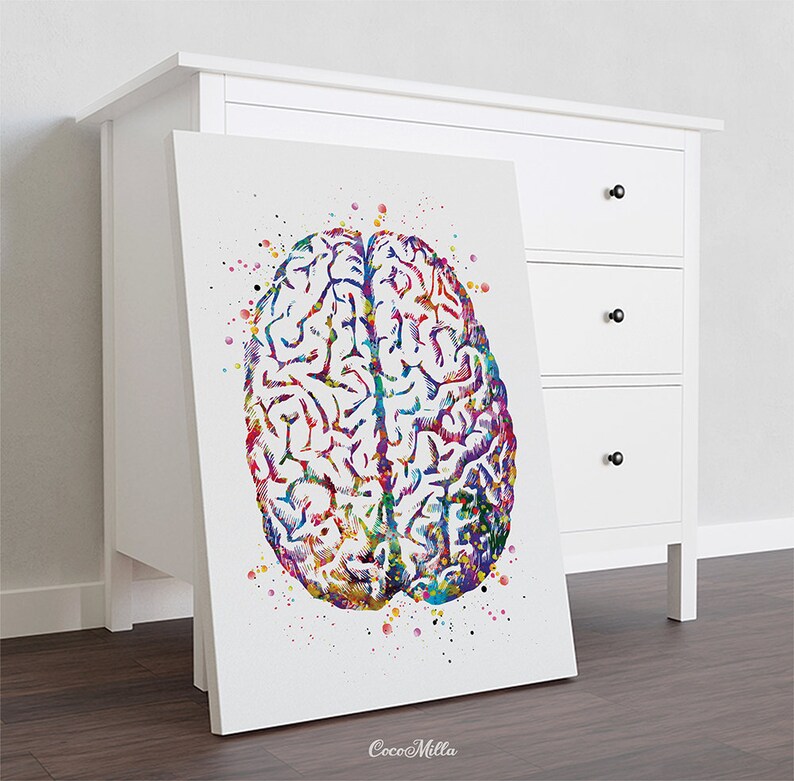 Brain Anatomy Watercolor Print – Medical Neurology Art-971 - Etsy