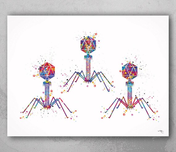 Bacteriophage Watercolor Print | Virus Biotech Science Art-196