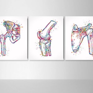 Orthopedic Art Watercolor Print Set of 3 Hip Joint Knee Shoulder Human Bone Anatomy Medical Art Physical Therapy Chiropractor Clinic-2006