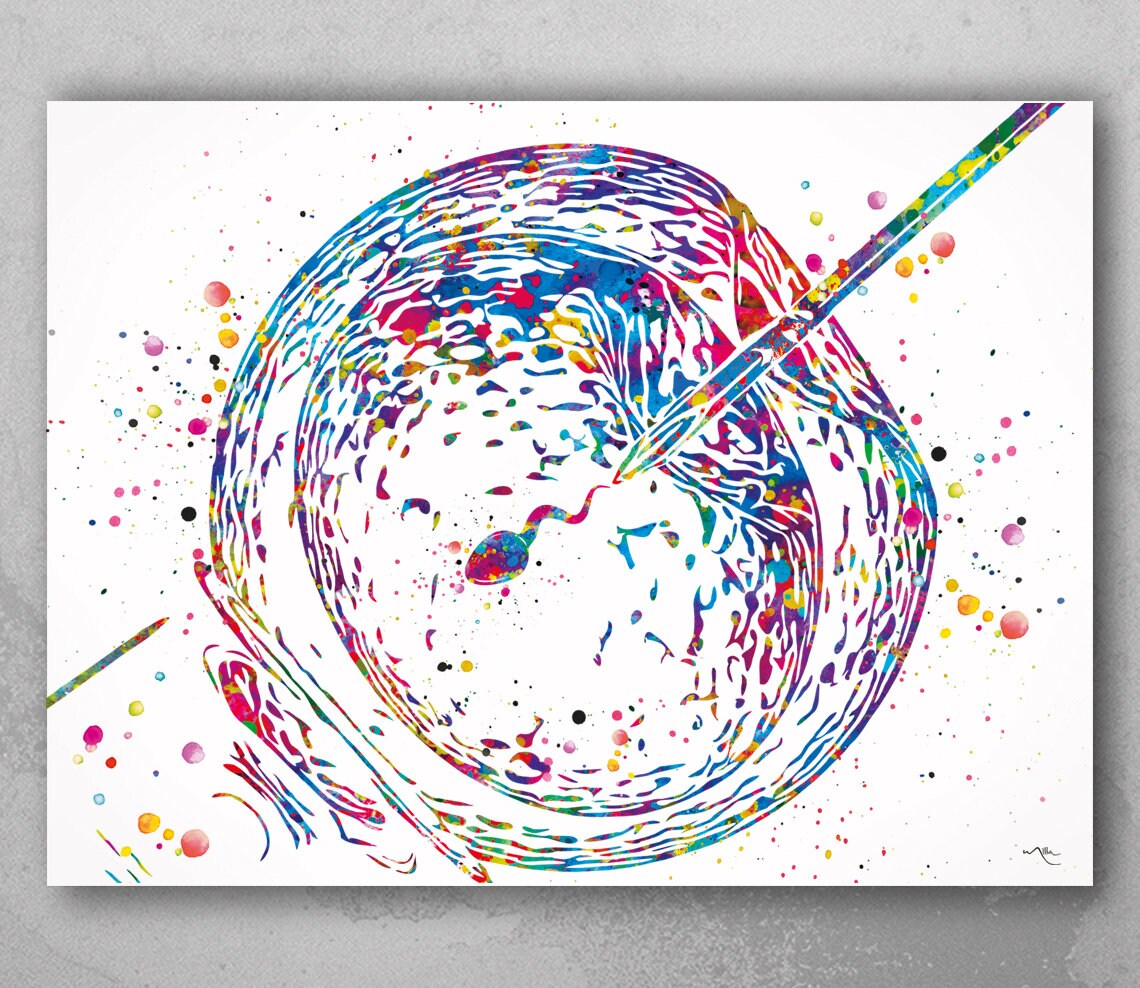 IVF Art Watercolor Print Embryonic Art Gynecology Medical Art Etsy