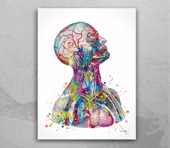 Anatomical Torso Watercolor Print Cardiology Decor Medical Art Print Human Anatomy Art Print Laboratory Decor Doctor Print Wall Hanging-1076