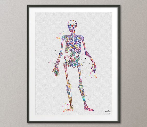 Human Skeleton Anatomy Watercolor Print Medical Art Science Art Graduation Gift Anatomy Human Skull Nurse Science Poster Skeleton Print 977