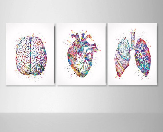 Home Decor Mens Room Decorations for Bedroom Heart Arteries and Veins of  The Human Body Biology Poster Medical Science Watercolor Printable Wall  Decor