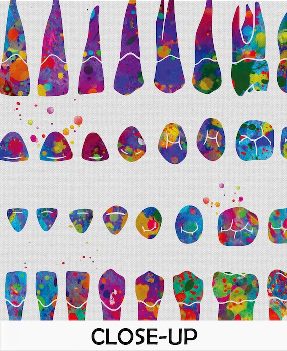 Orthodontic Chart Watercolor Print Tooth Chart Dental Clinic Office Dental Art