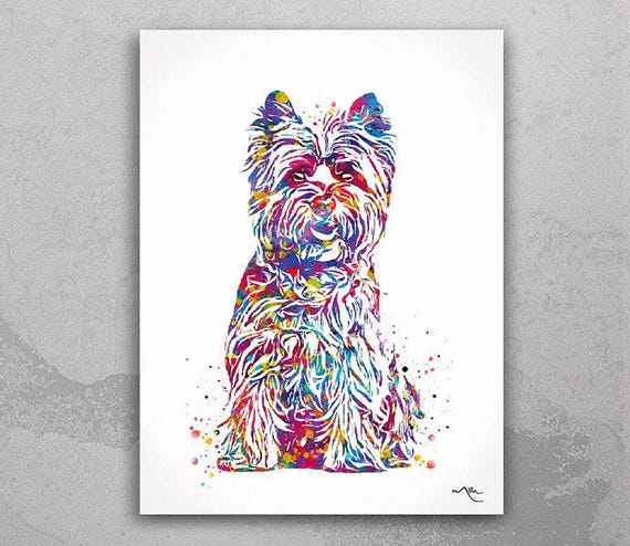 Cairn Terrier Watercolor Dog Print, Colorful Pet Portrait Art-1519