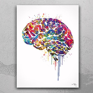 Brain Anatomy Watercolor Print Medical Art Science Art Wall Decor Wall Art Neurology Human Brain Doctor Gift Science Poster Wall Hanging-428