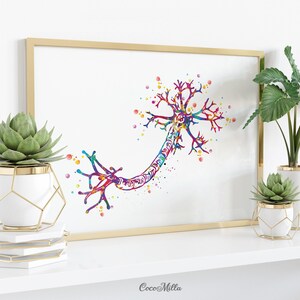 Nerve Cell Watercolor Print Science Poster Neurology Art Nerve Cell ...